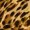 Camel Animal Printed Face Covering