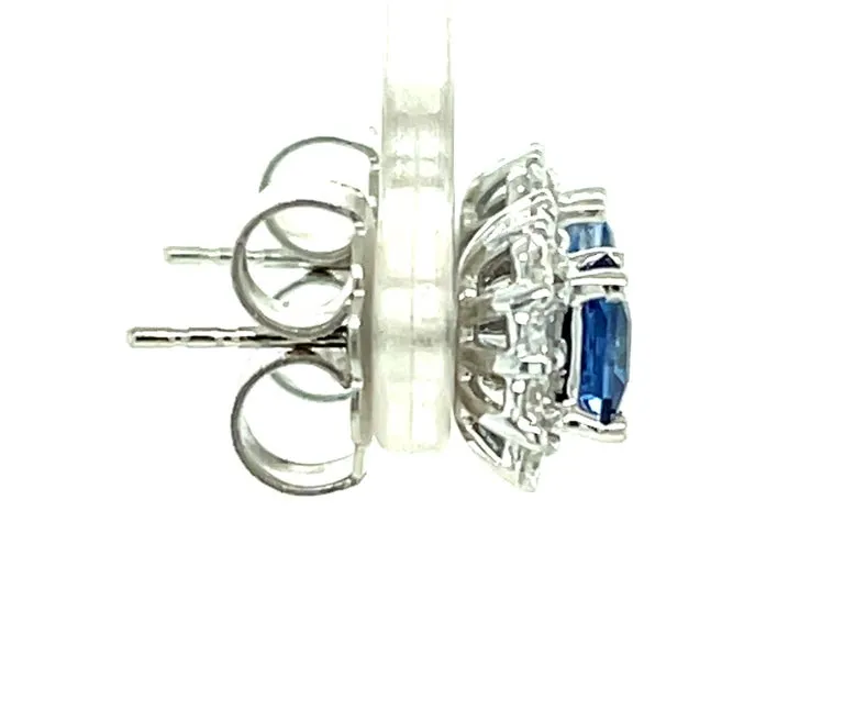 Cornflower Blue Sapphire, Diamond Pave and White Gold Stud Post Earrings