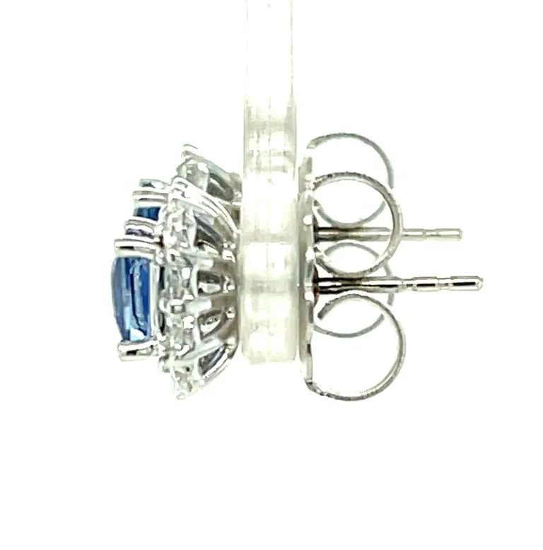 Cornflower Blue Sapphire, Diamond Pave and White Gold Stud Post Earrings