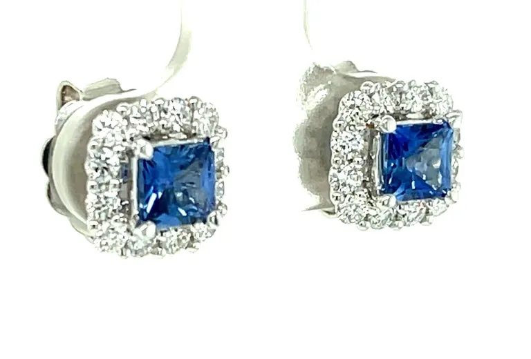 Cornflower Blue Sapphire, Diamond Pave and White Gold Stud Post Earrings
