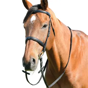 Kincade Classic Plain Raised Cavesson Bridle With Reins