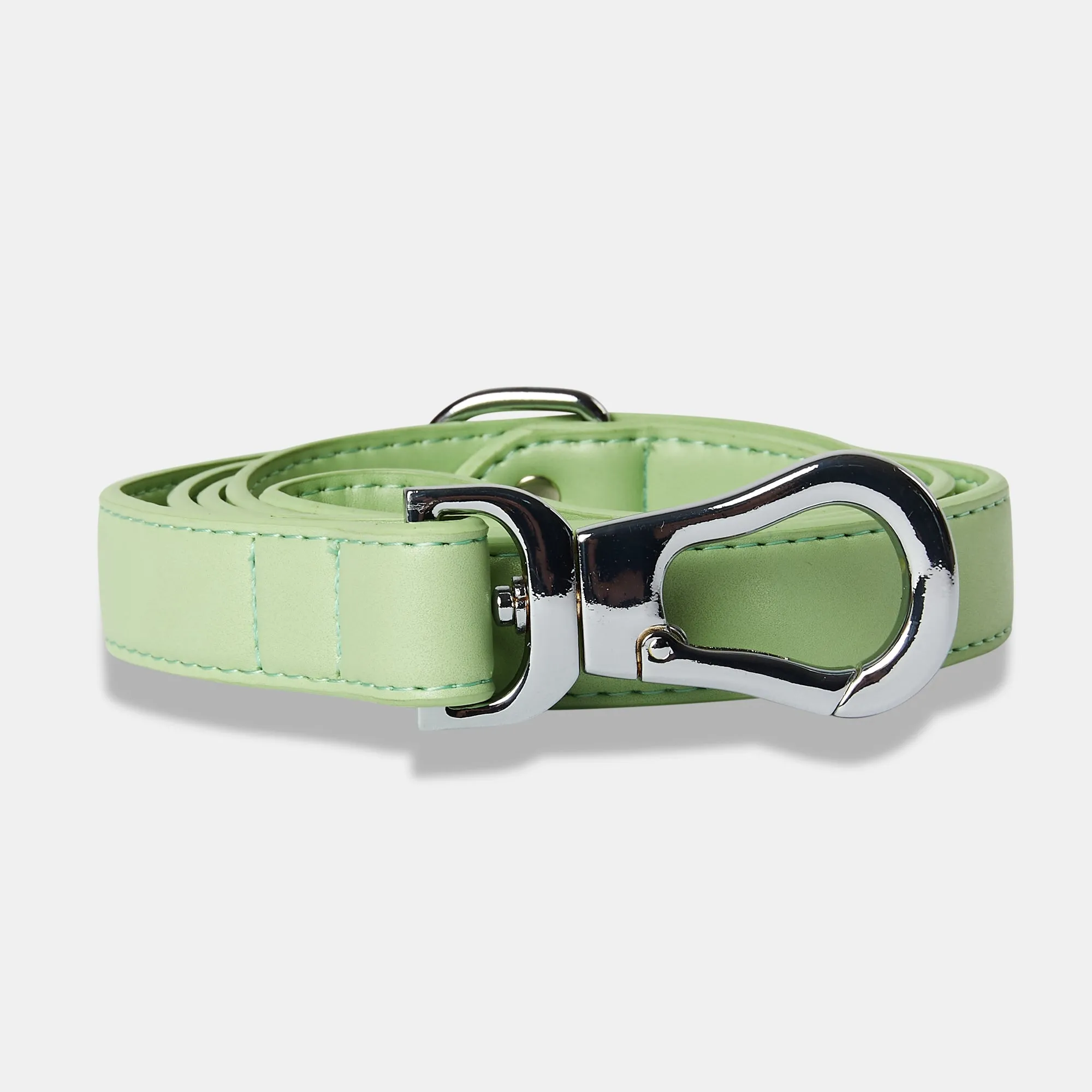 Lush Green Dog Collar & Lead Set