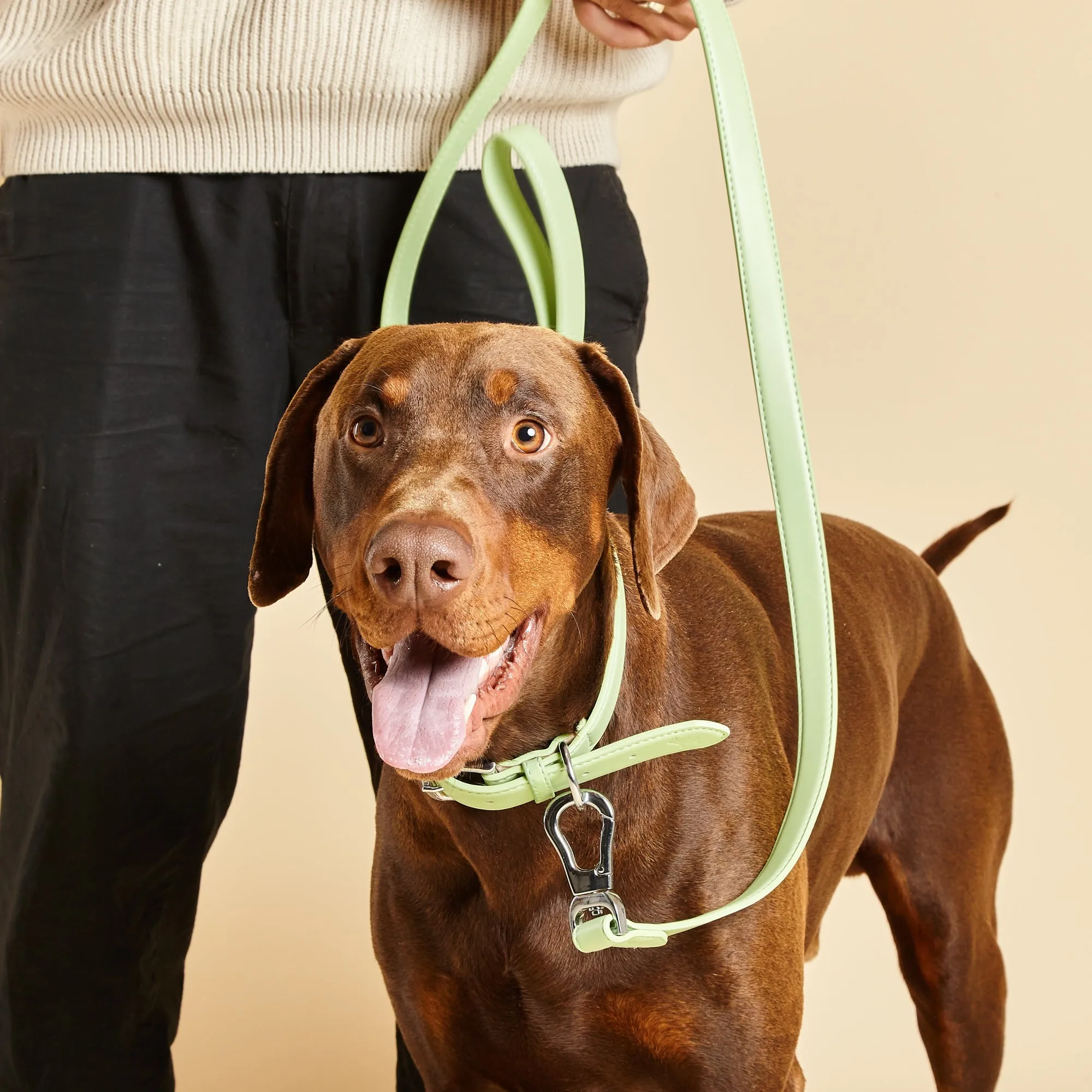 Lush Green Dog Collar & Lead Set