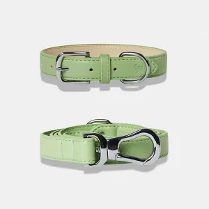 Lush Green Dog Collar & Lead Set