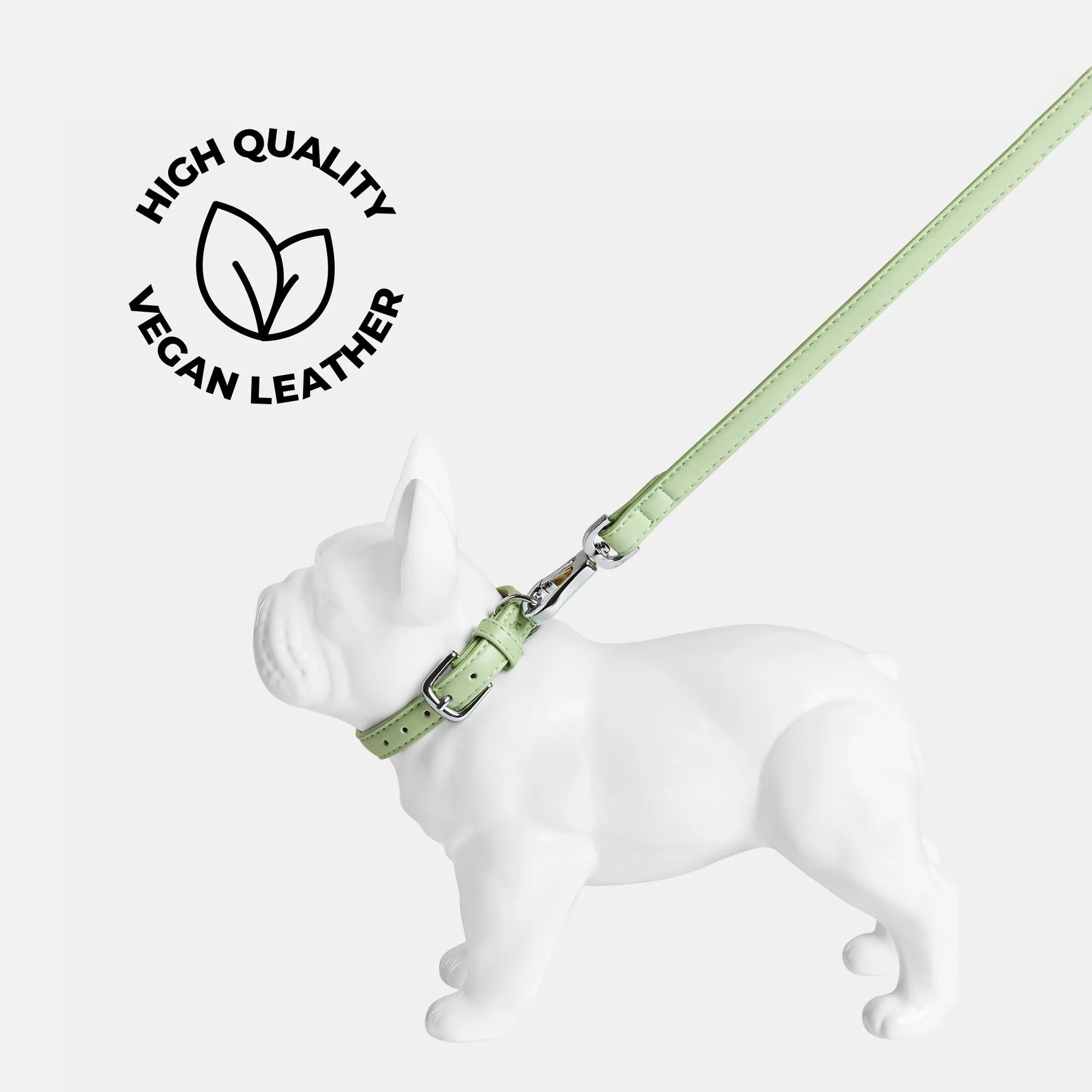 Lush Green Dog Collar & Lead Set