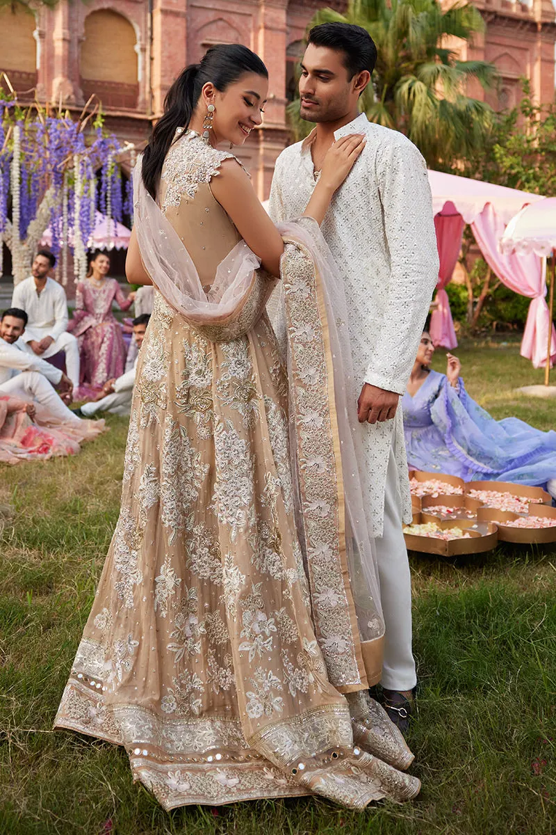 MUSHQ | IZHAR - Luxury Chiffon Collection'23 |  MEHRBANO