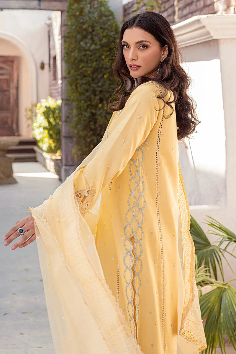 MUSHQ | LUXURY PRET PRINTED ORGANZA'23 | MANGO SORBET
