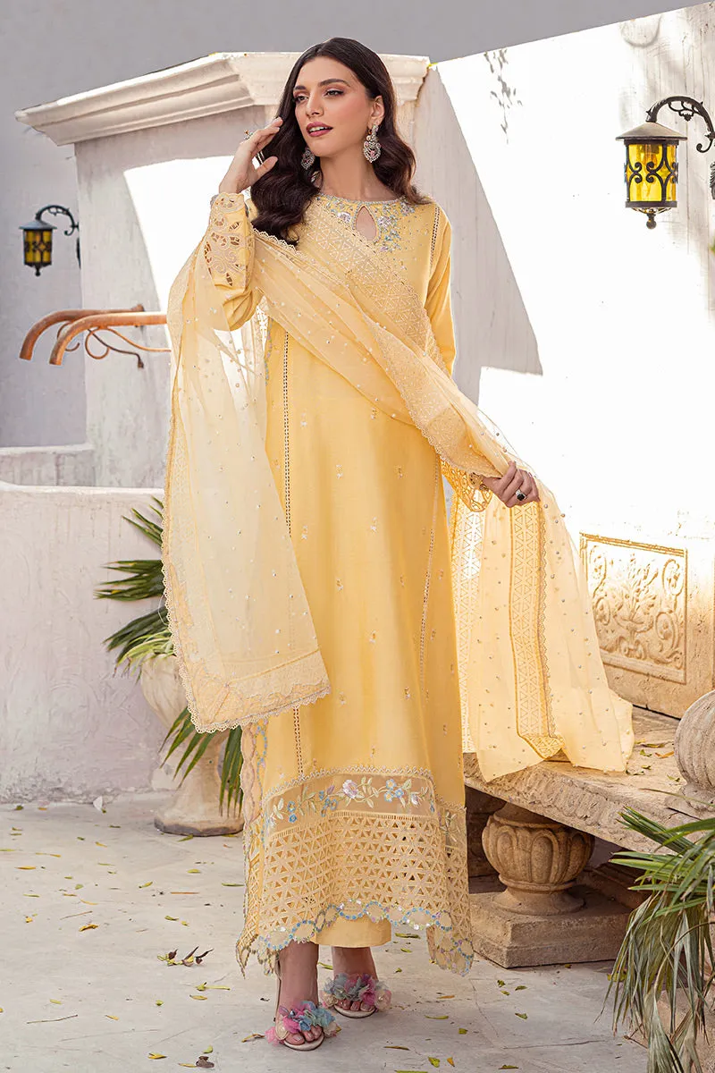 MUSHQ | LUXURY PRET PRINTED ORGANZA'23 | MANGO SORBET