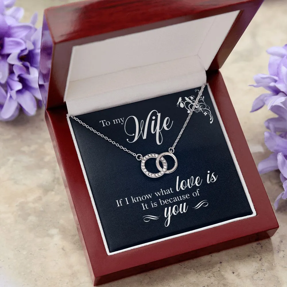 Perfect Pair Necklace, For Girlfriend, Wife, Christmas, Birthday, Valentine's Day, Anniversary, Custom Message Card