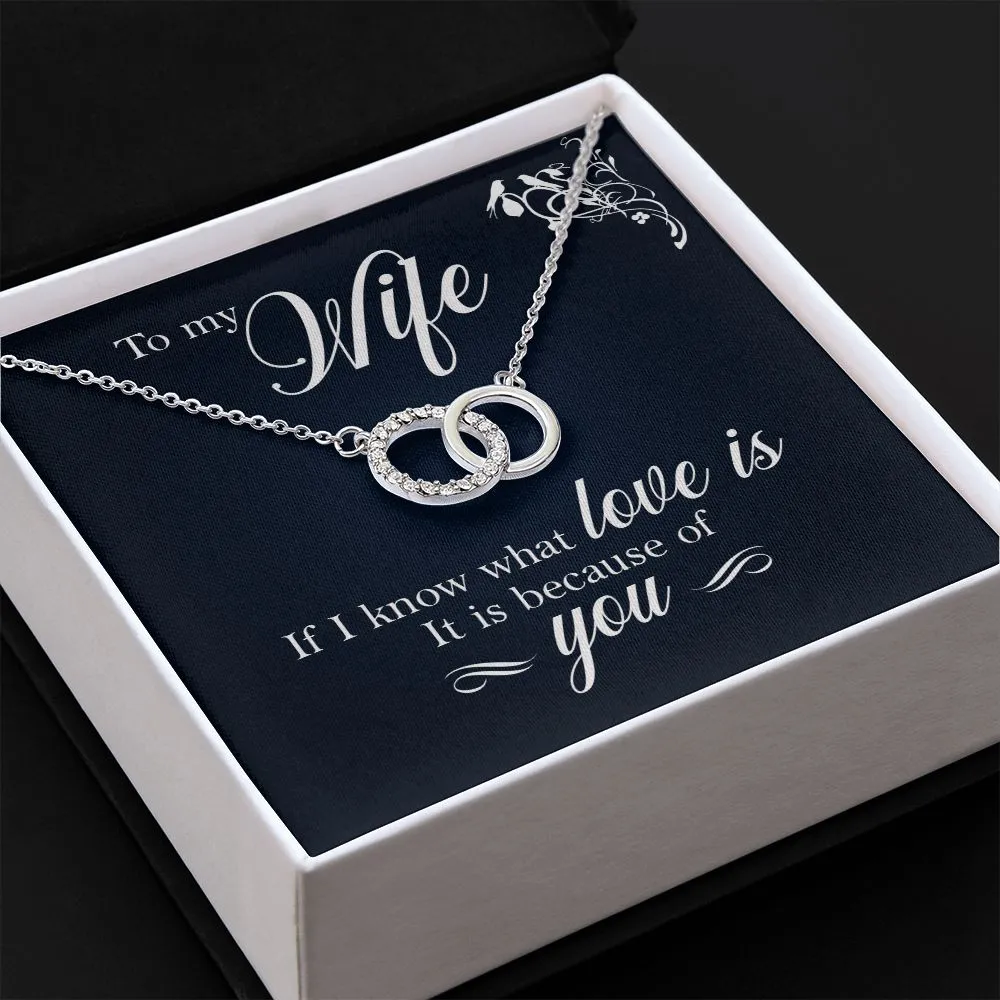 Perfect Pair Necklace, For Girlfriend, Wife, Christmas, Birthday, Valentine's Day, Anniversary, Custom Message Card