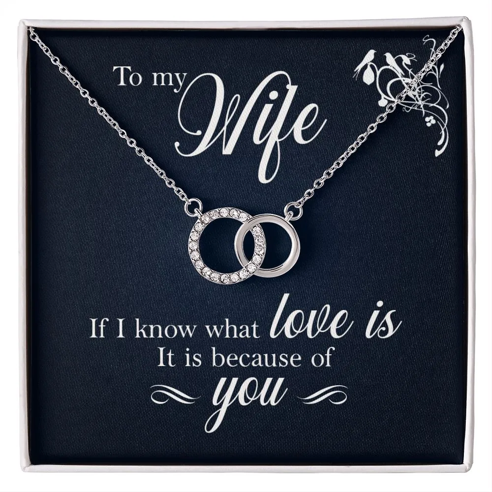 Perfect Pair Necklace, For Girlfriend, Wife, Christmas, Birthday, Valentine's Day, Anniversary, Custom Message Card