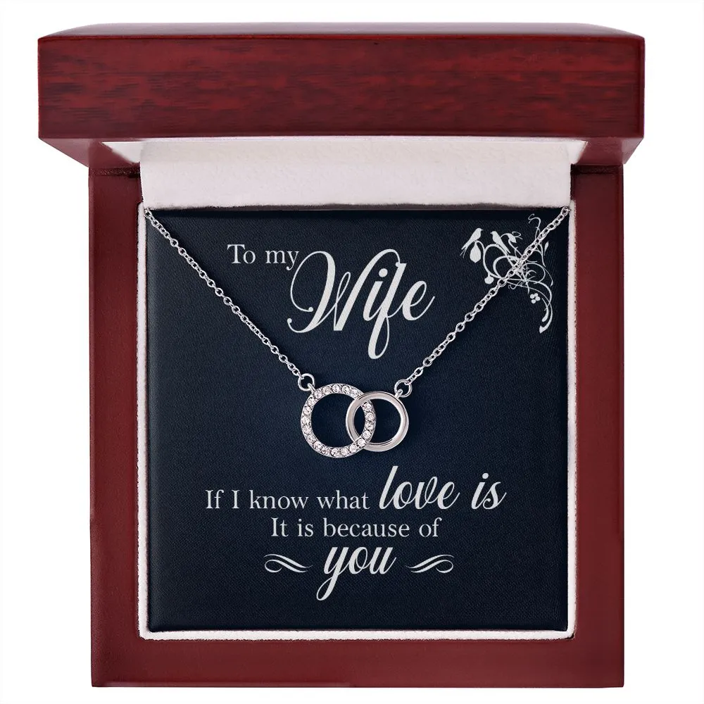 Perfect Pair Necklace, For Girlfriend, Wife, Christmas, Birthday, Valentine's Day, Anniversary, Custom Message Card