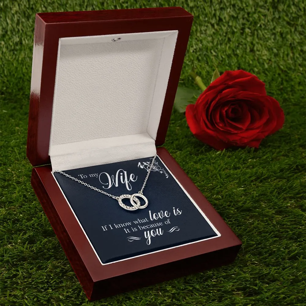 Perfect Pair Necklace, For Girlfriend, Wife, Christmas, Birthday, Valentine's Day, Anniversary, Custom Message Card