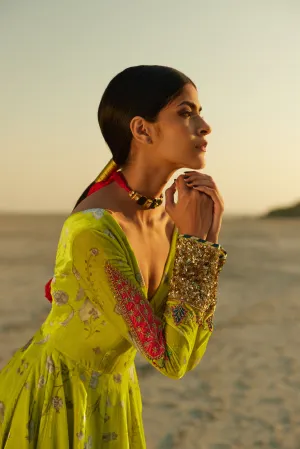 Raji Ramniq   I   Lime Green Printed Anarkali We-115