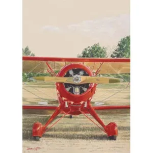 Red Bird Limited Edition Sam Lyons Print