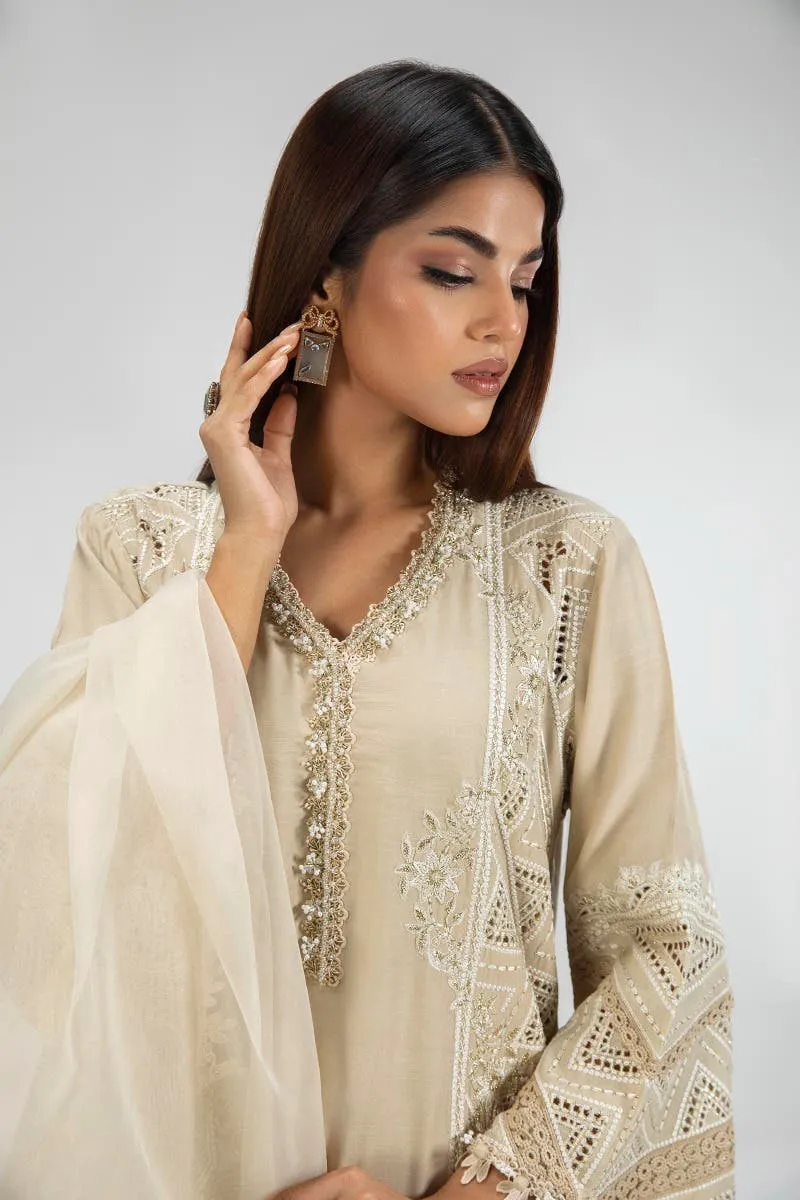 Royal Beige Shade Straight Shirt Style Luxury Pret Pakistani Salwar Suit