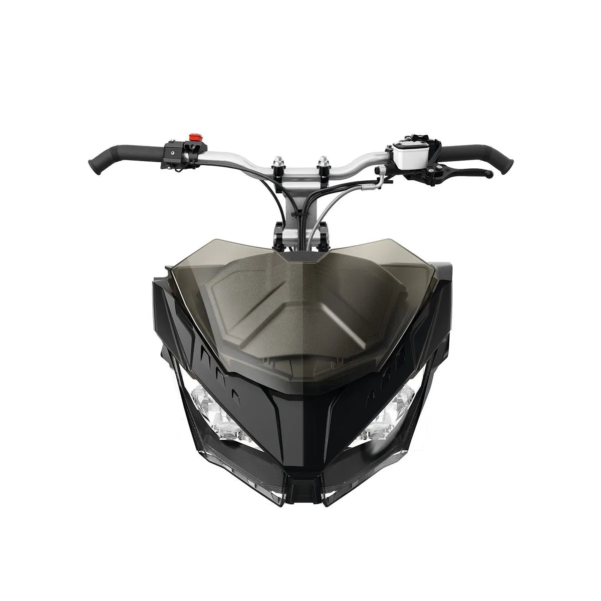 Ski-Doo Ultra Low Windshield