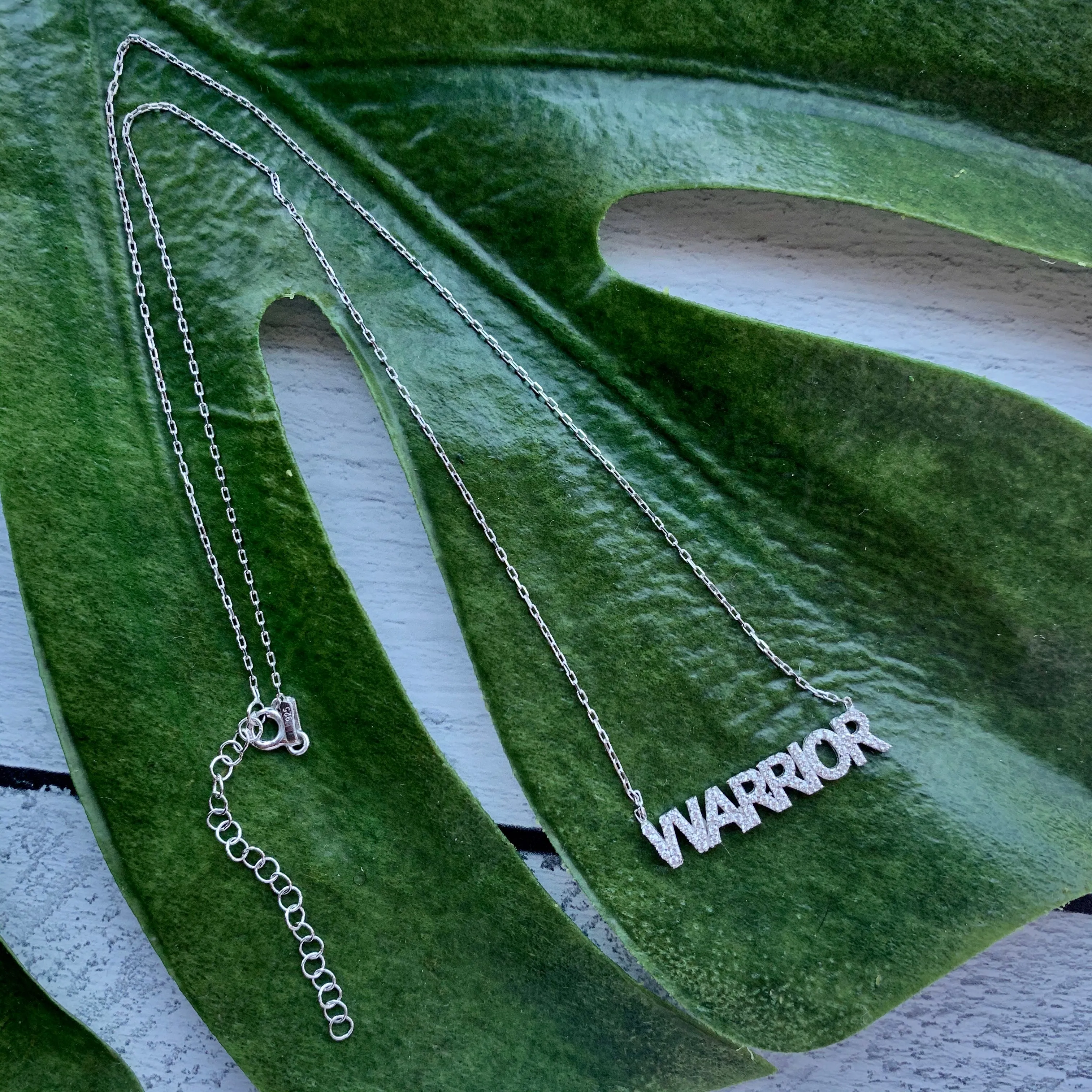 WARRIOR SILVER